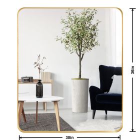 Deep Frame 30" x 36" Rectangle Mirror (Color: Gold)